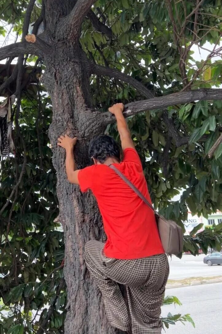 吉隆坡男子因经济困境在树上居住半年