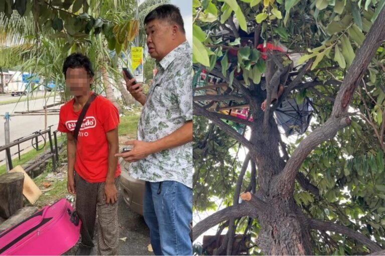 吉隆坡男子因经济困境在树上居住半年 引发社会关注