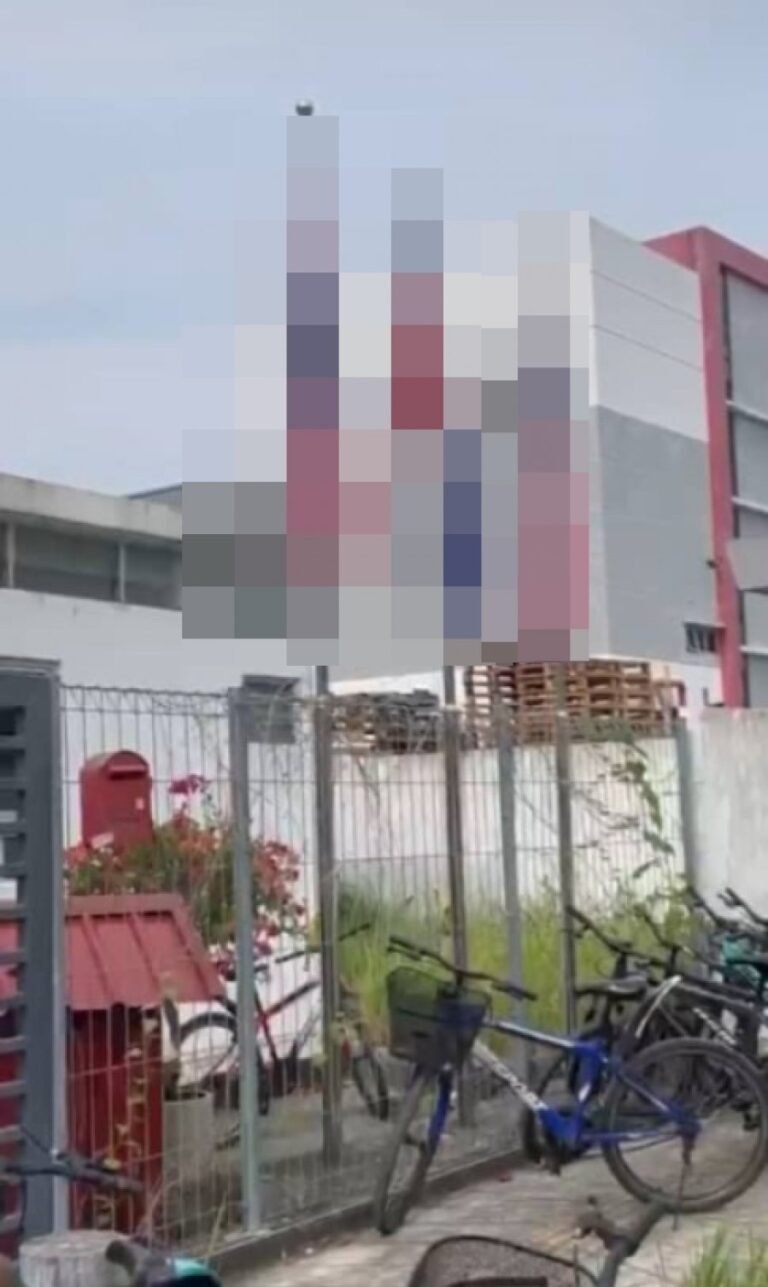 国庆月再现工厂倒挂国州旗，SILC工业区事件促MBIP介入执法